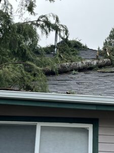 A large tree has fallen onto the roof of a house, causing visible damage to the shingles and structure, likely requiring roof replacement.