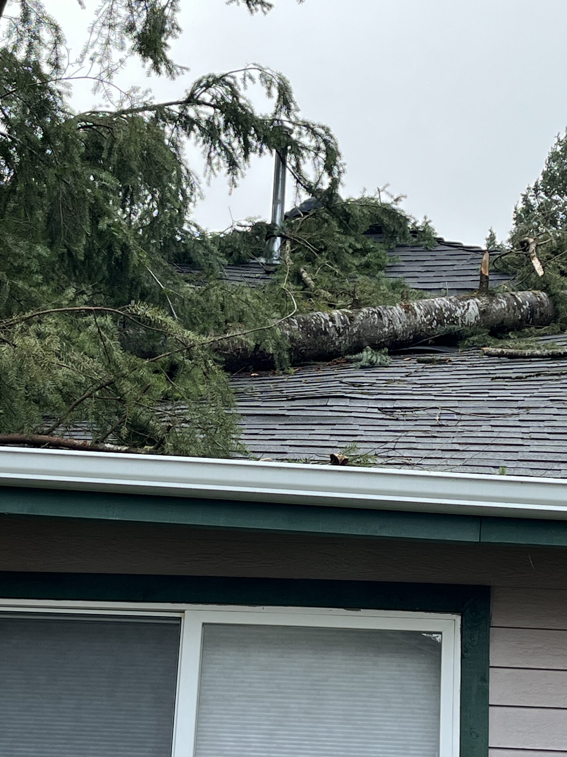 A large tree has fallen onto the roof of a house, causing visible damage to the shingles and structure, likely requiring roof replacement.